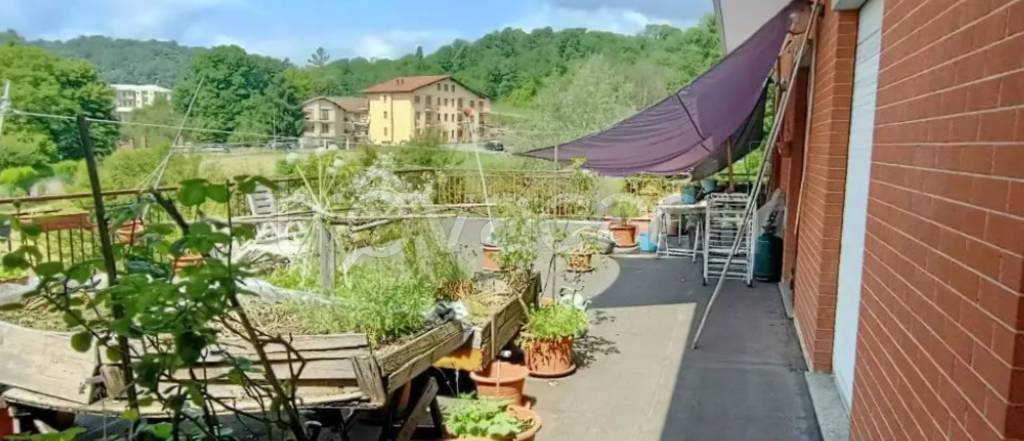 immagine annuncio 11 di 12