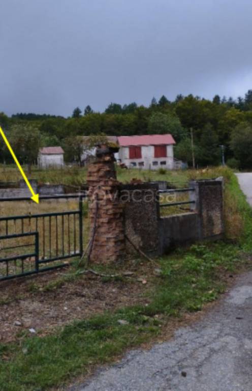 immagine annuncio 9 di 13