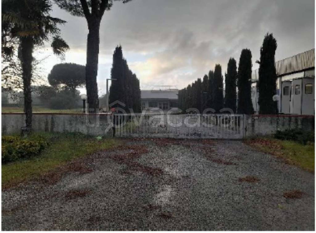 immagine annuncio 7 di 13