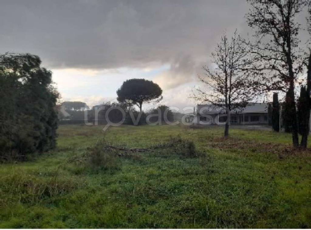 immagine annuncio 8 di 13