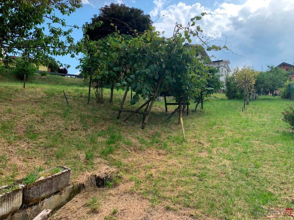 immagine annuncio 2 di 13
