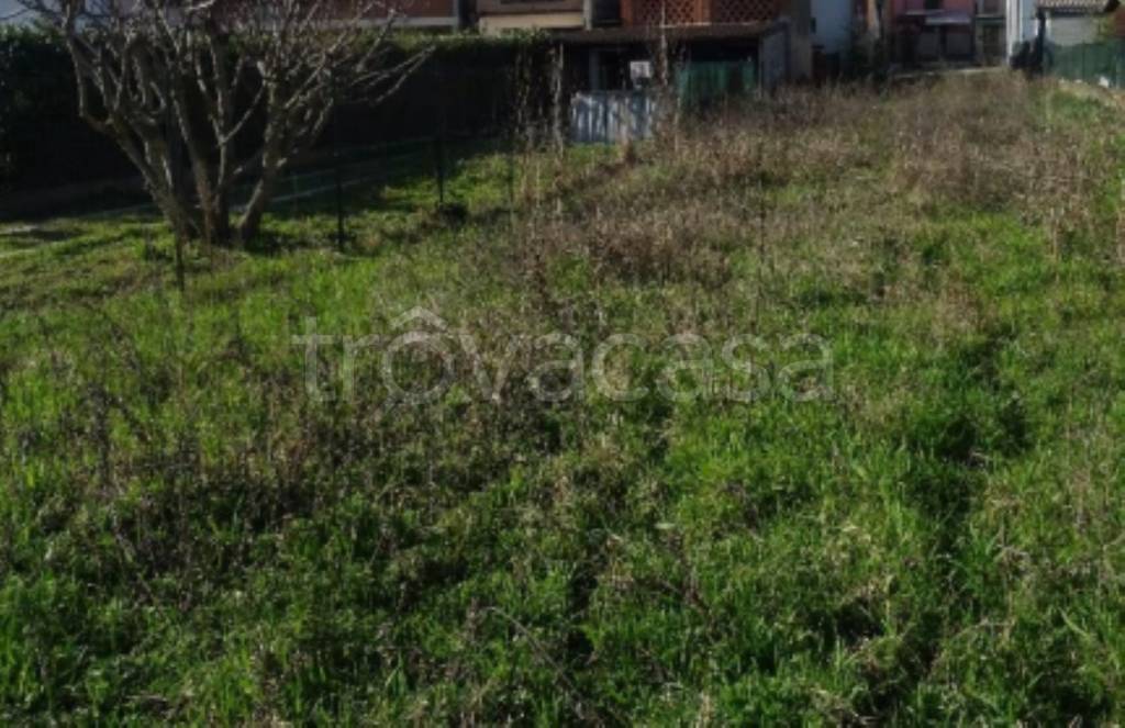 immagine annuncio 5 di 12