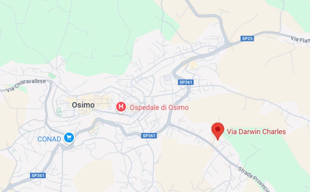 immagine annuncio 9 di 11