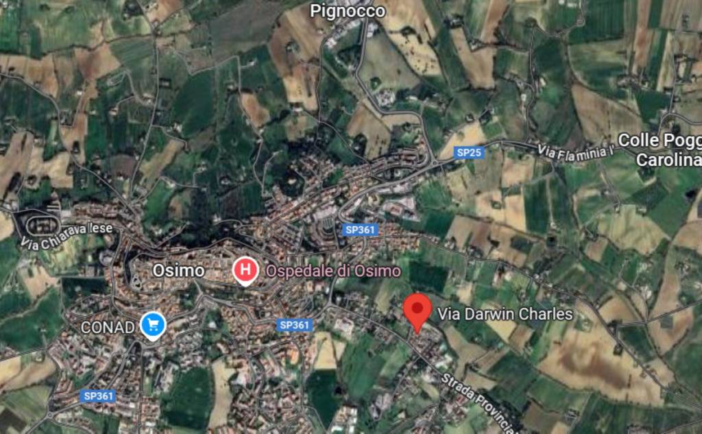 immagine annuncio 8 di 11