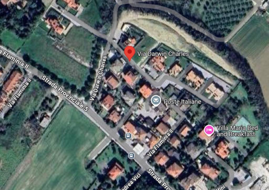 immagine annuncio 10 di 11