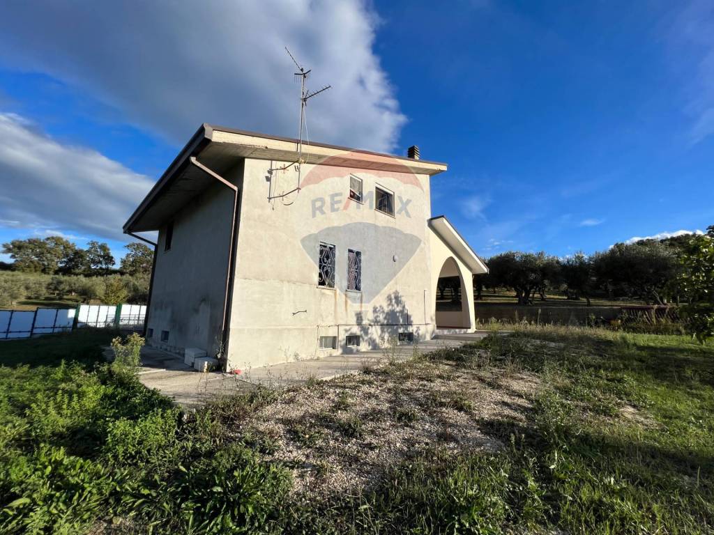immagine annuncio 1 di 6