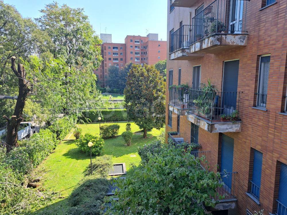 immagine annuncio 9 di 12