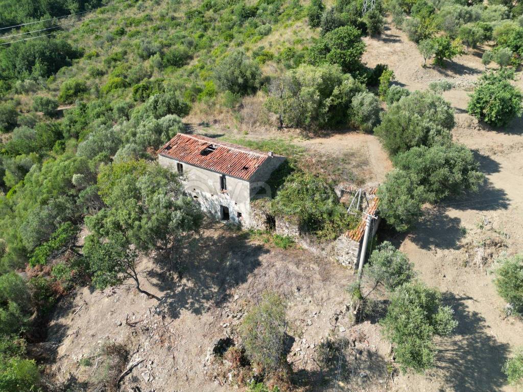immagine annuncio 4 di 8