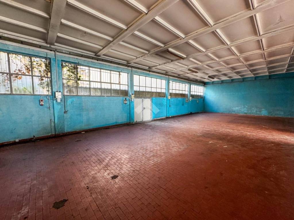 immagine annuncio 7 di 15