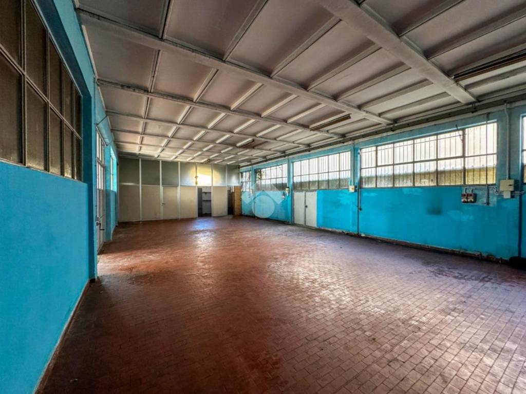 immagine annuncio 9 di 15