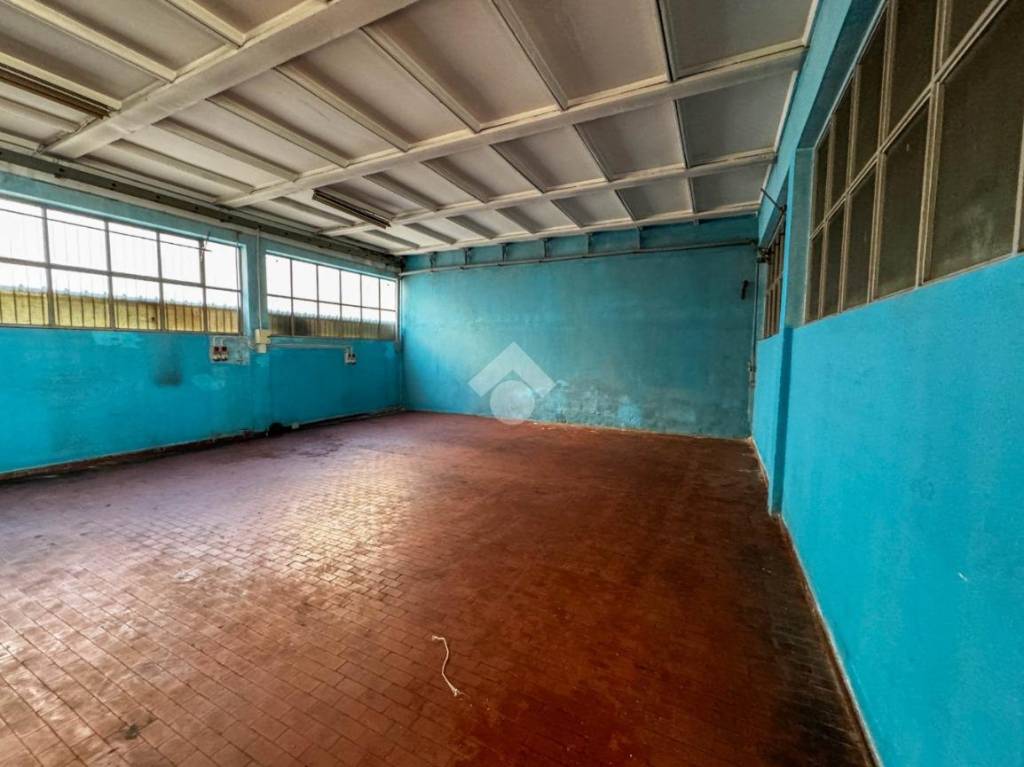 immagine annuncio 13 di 15