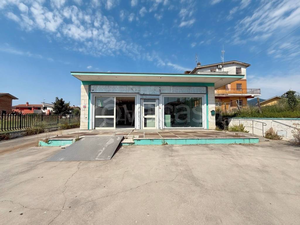 immagine annuncio 1 di 14