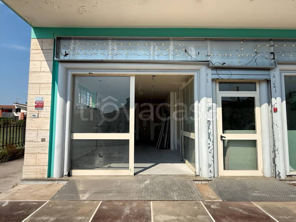 immagine annuncio 3 di 14