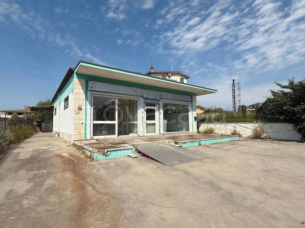 immagine annuncio 4 di 14