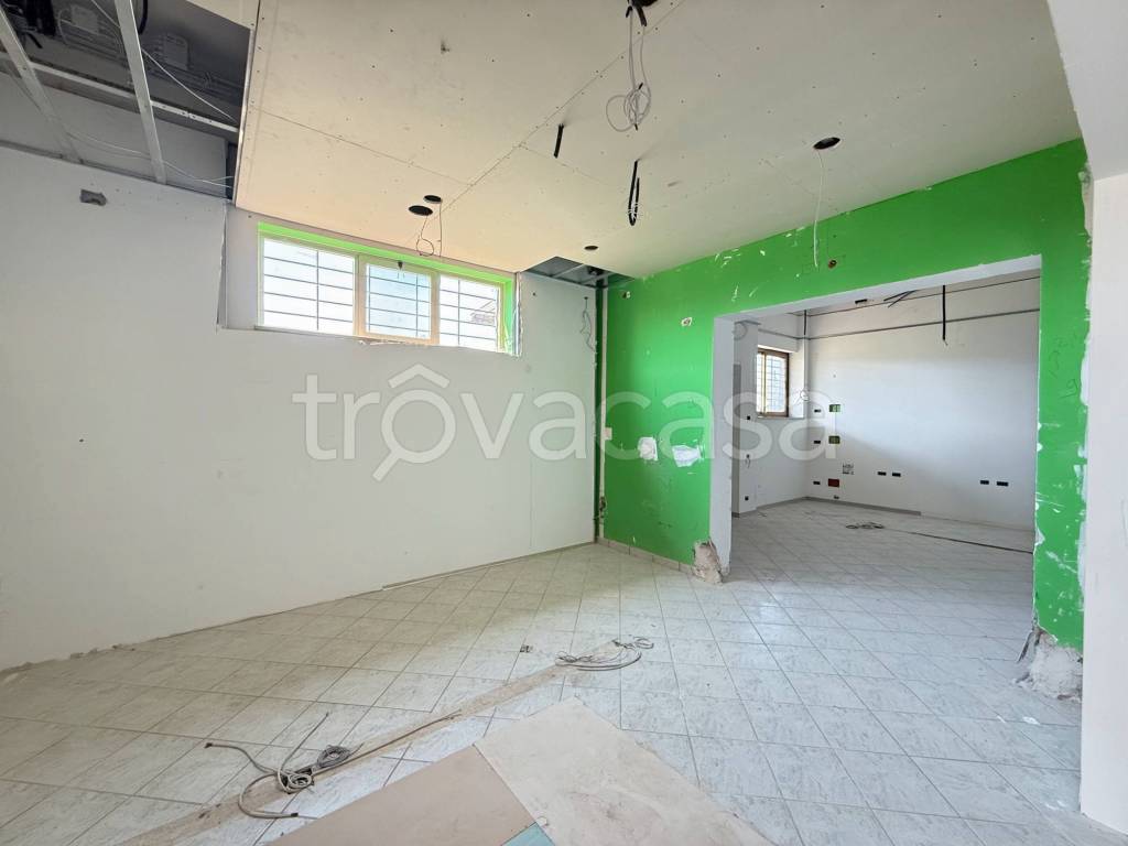 immagine annuncio 9 di 14