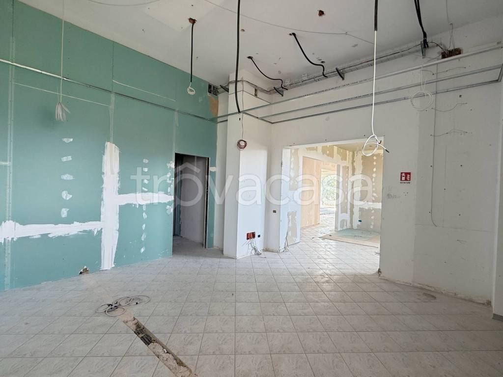 immagine annuncio 10 di 14