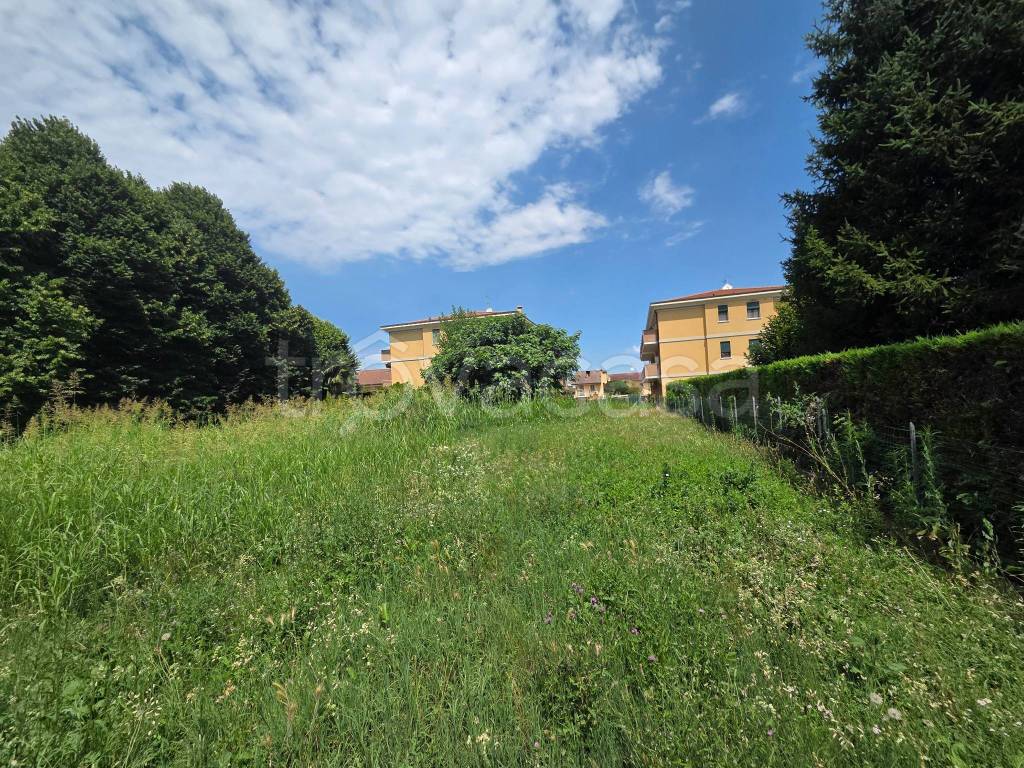 immagine annuncio 3 di 9
