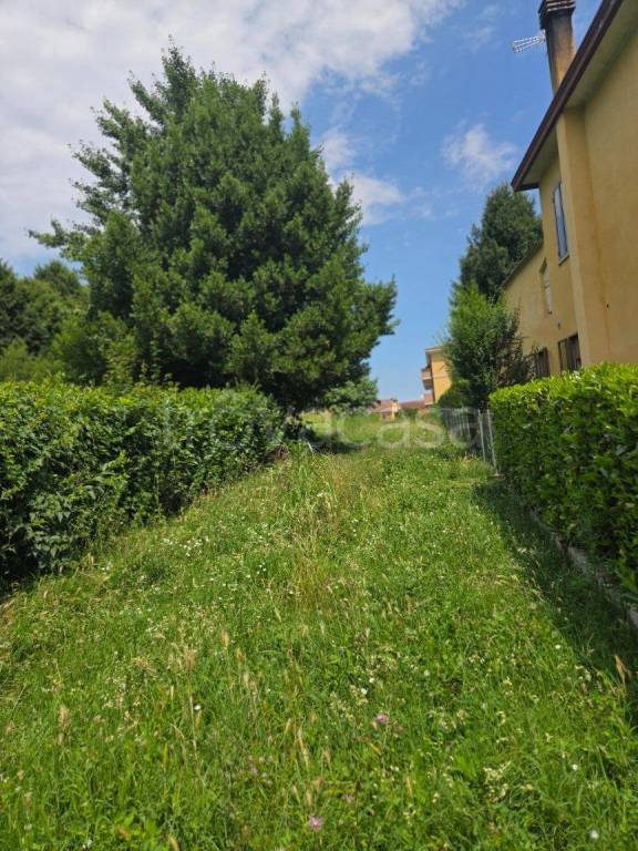 immagine annuncio 2 di 9