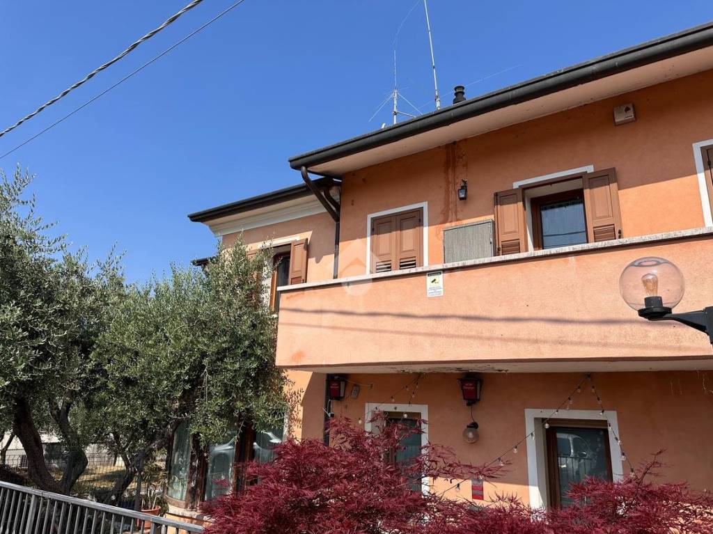 immagine annuncio 5 di 6