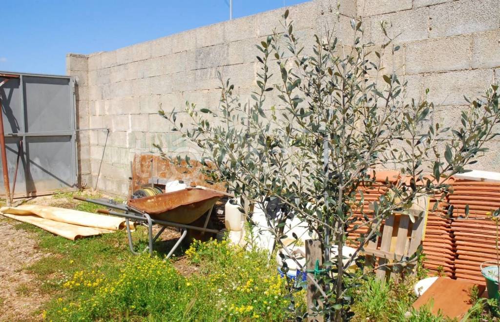 immagine annuncio 8 di 13