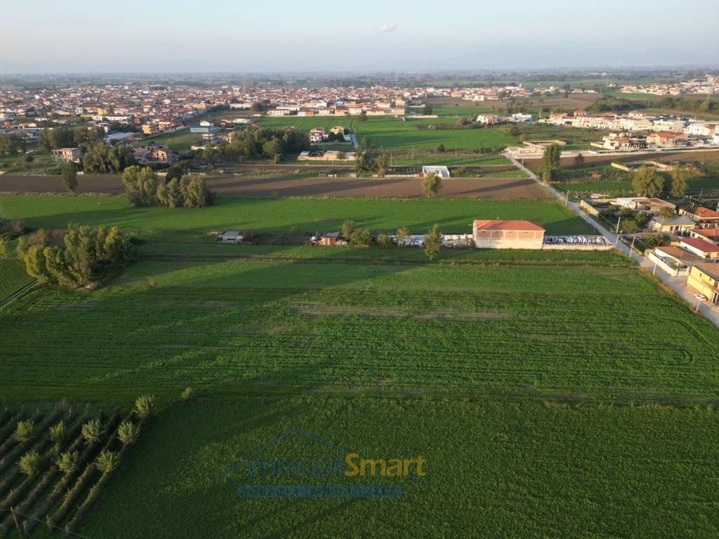 immagine annuncio 6 di 11