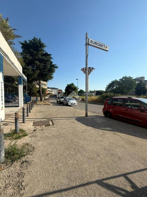 immagine annuncio 3 di 11