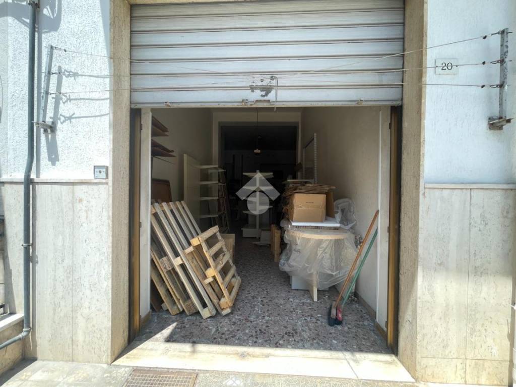 immagine annuncio 1 di 14
