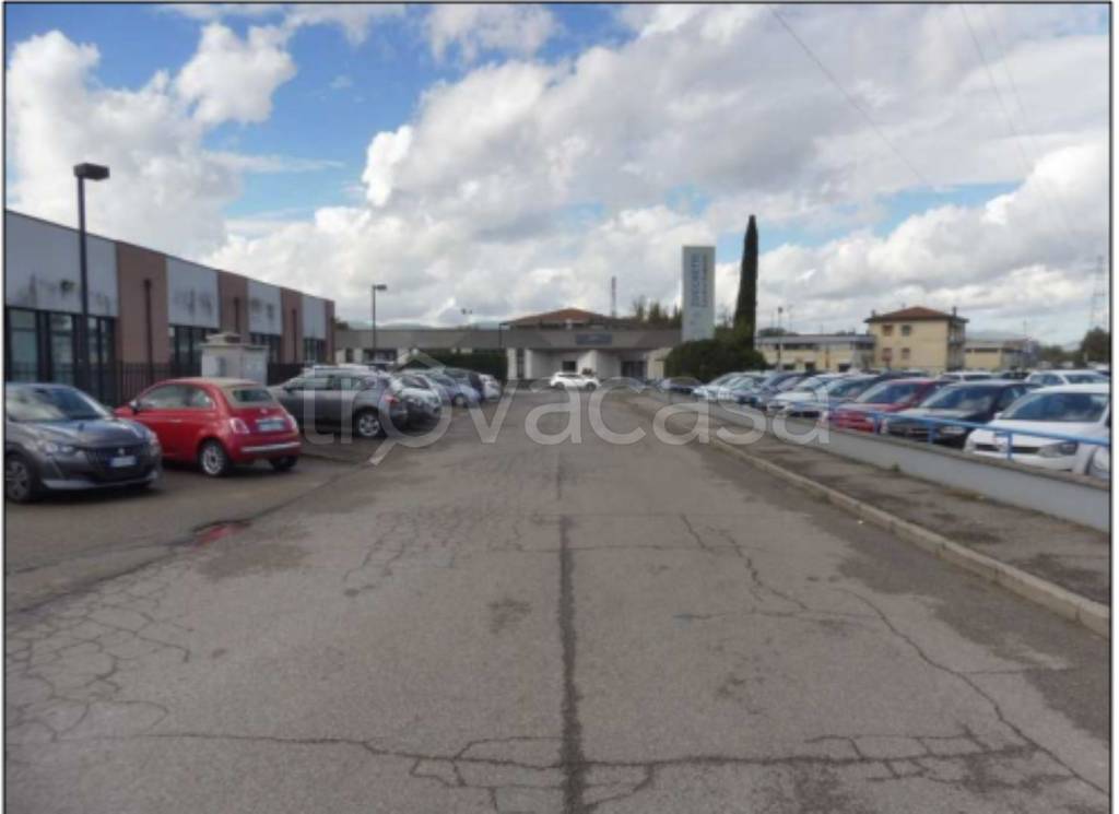 immagine annuncio 3 di 8