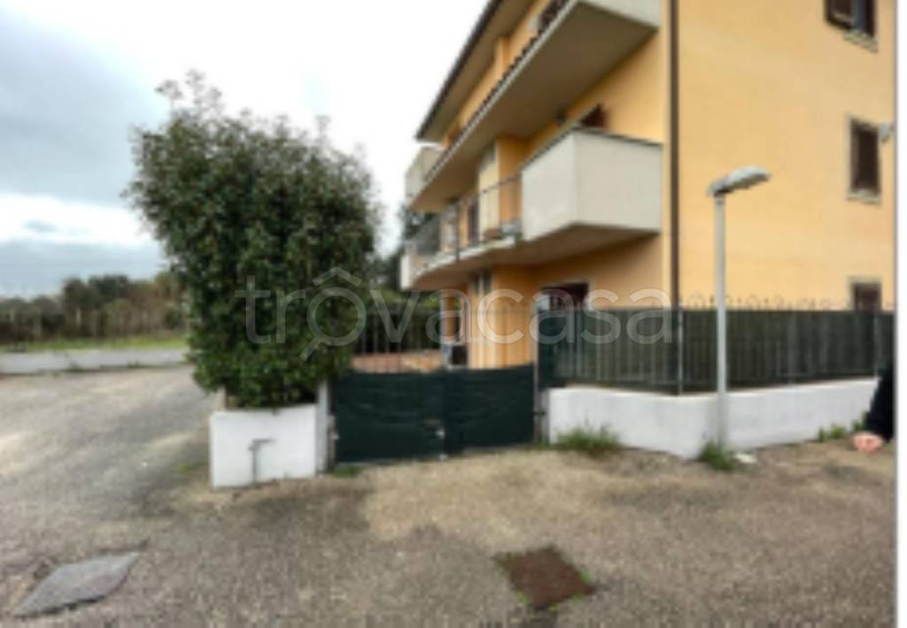 immagine annuncio 4 di 11