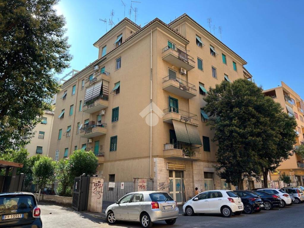 immagine annuncio 5 di 11