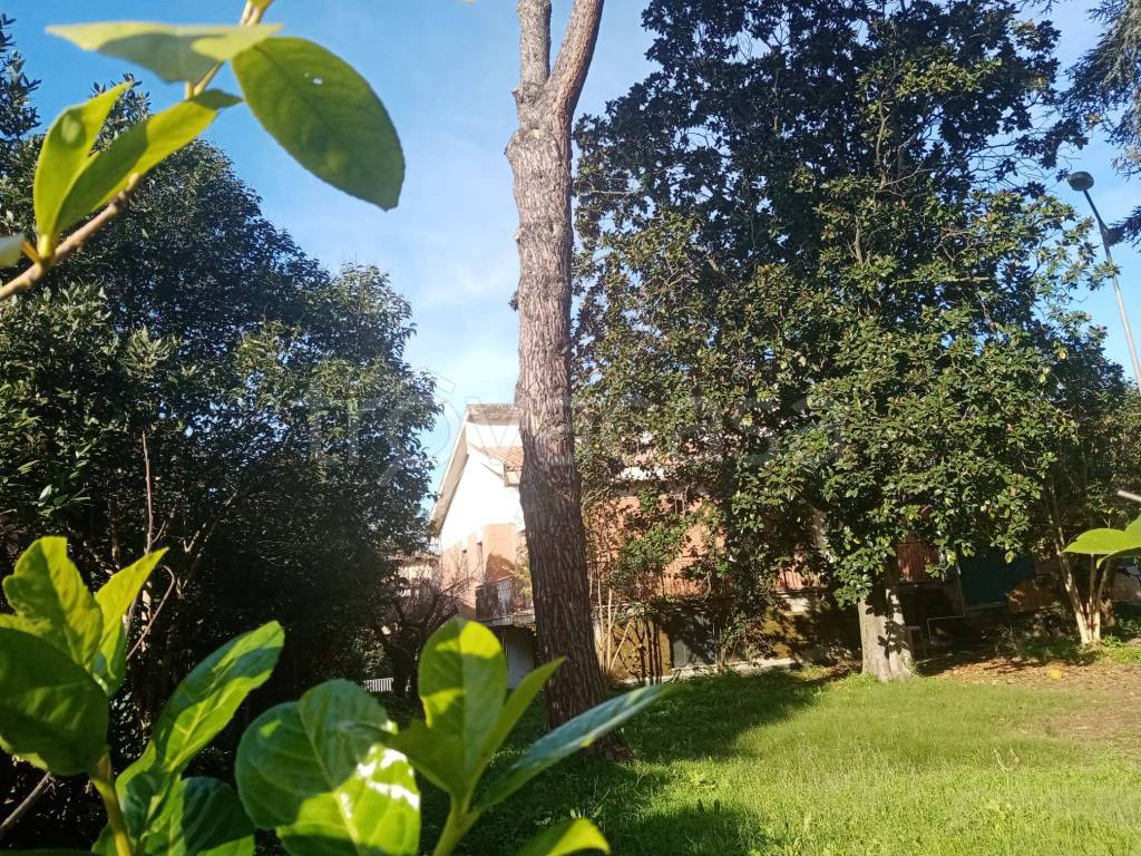 immagine annuncio 7 di 8