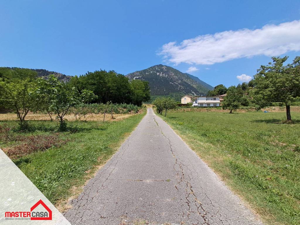 immagine annuncio 5 di 11