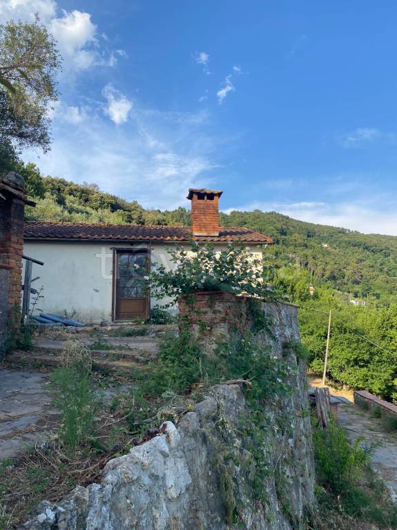 immagine annuncio 7 di 13