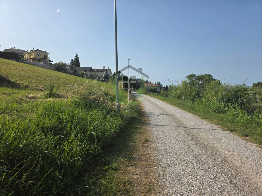 immagine annuncio 3 di 7