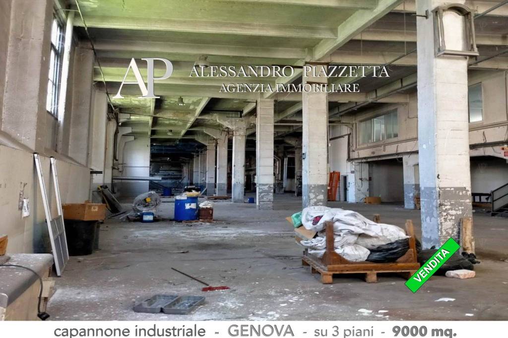 immagine annuncio 2 di 12