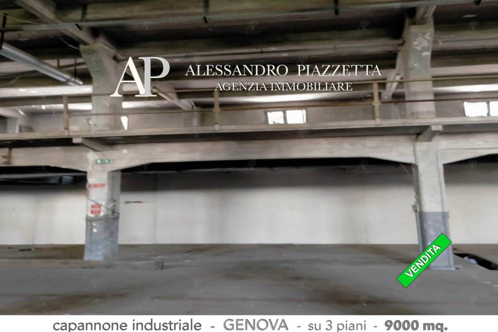 immagine annuncio 3 di 12