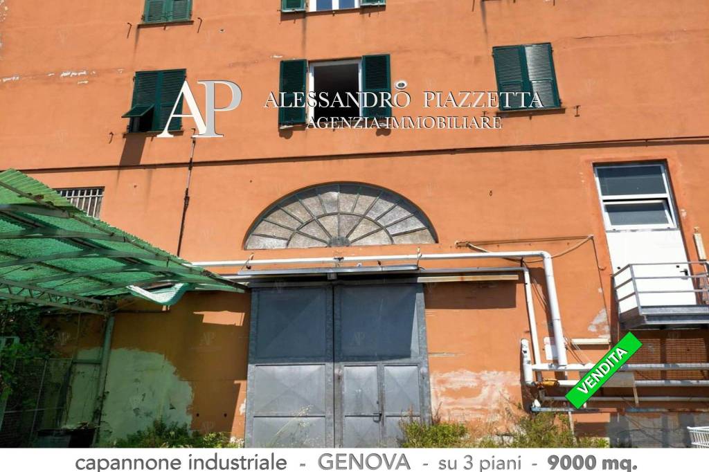 immagine annuncio 4 di 12