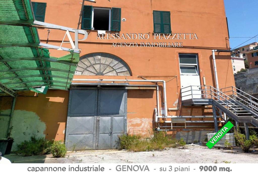 immagine annuncio 5 di 12