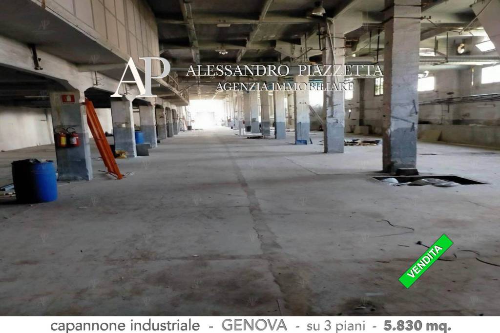 immagine annuncio 6 di 12
