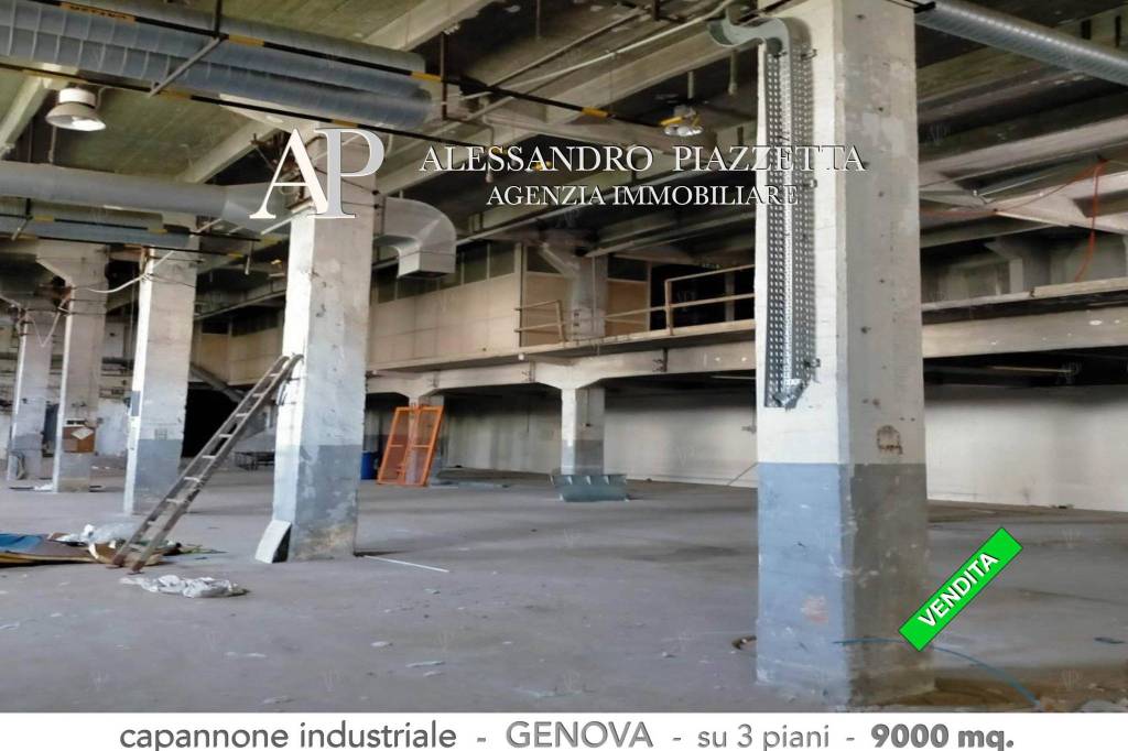 immagine annuncio 7 di 12