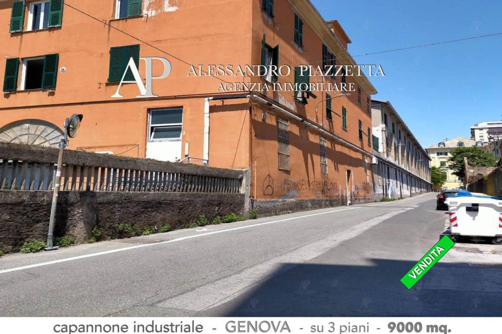 immagine annuncio 8 di 12
