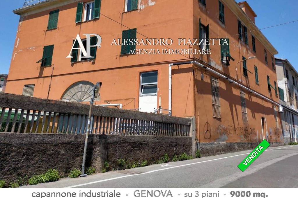 immagine annuncio 9 di 12