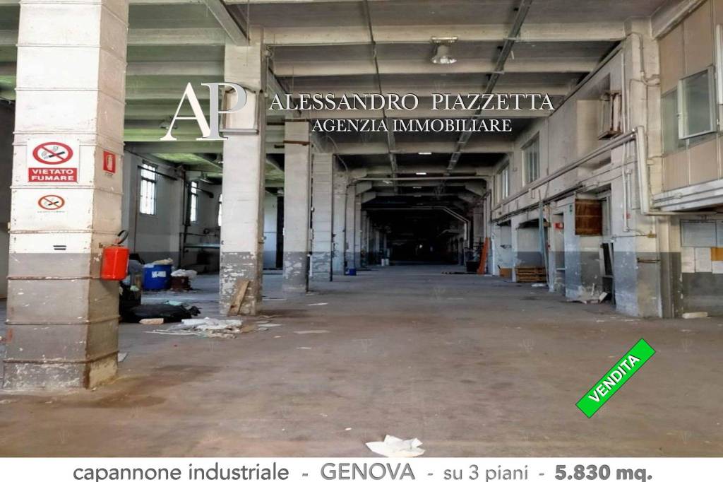 immagine annuncio 10 di 12