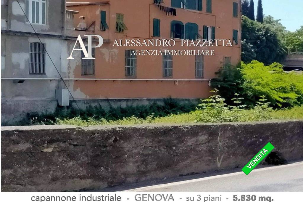immagine annuncio 11 di 12