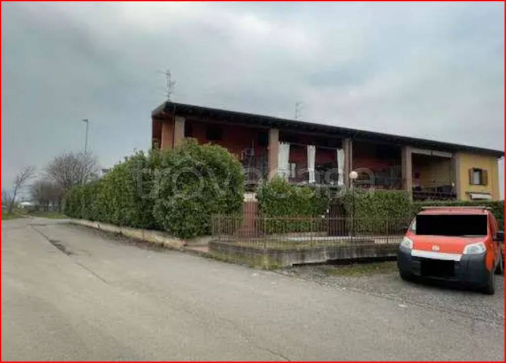 immagine annuncio 3 di 11