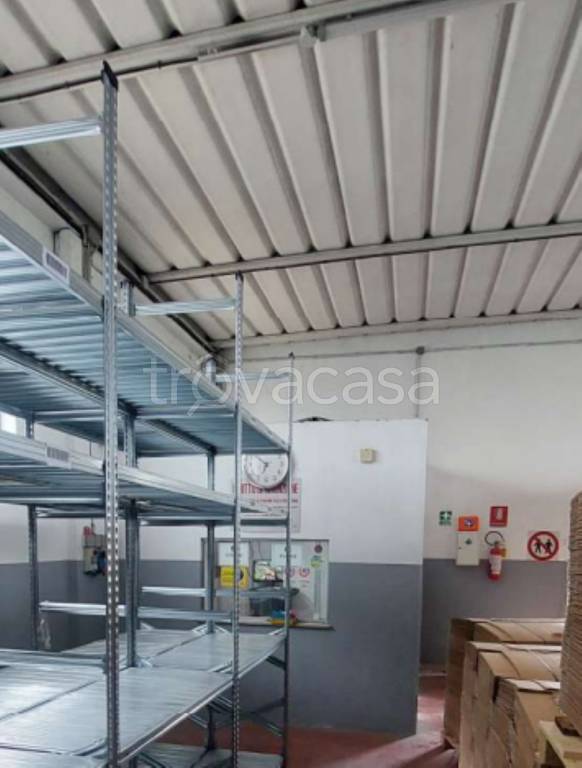 immagine annuncio 11 di 13