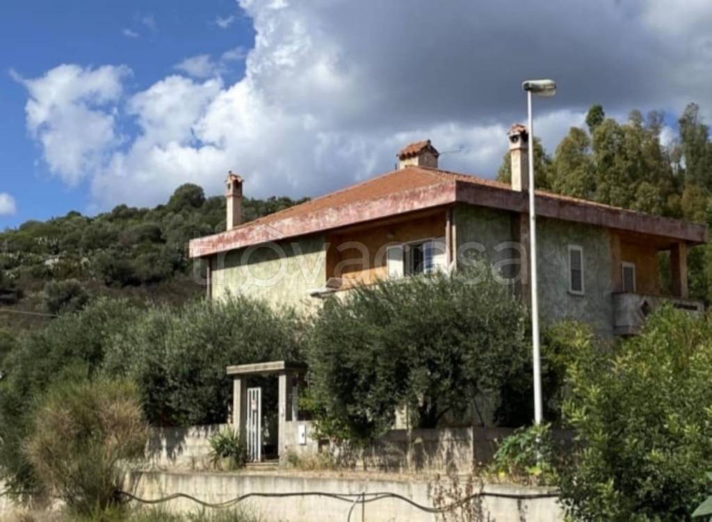 immagine annuncio 11 di 14