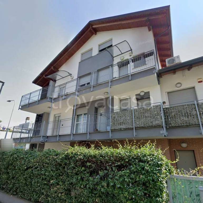 immagine annuncio 7 di 15
