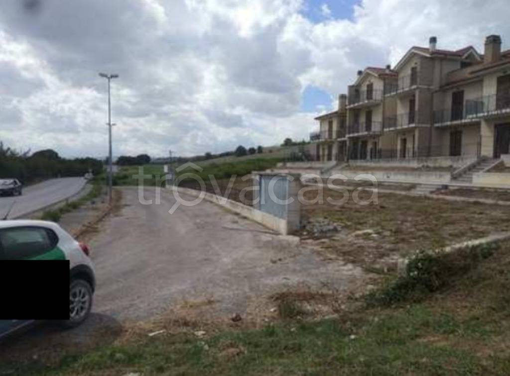 immagine annuncio 5 di 11
