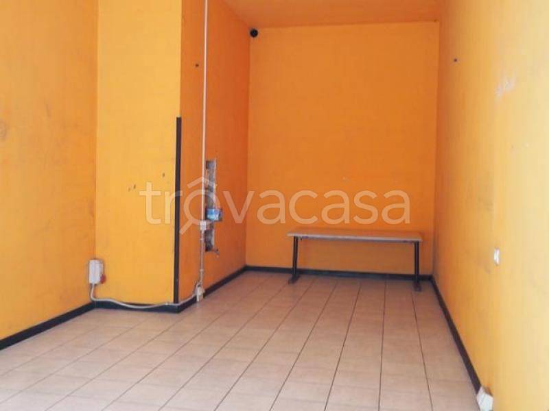 immagine annuncio 3 di 14